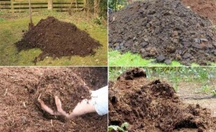 Which manure is best for fertilizing the garden