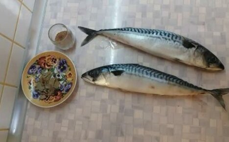 Salt mackerel at home: how to do it right