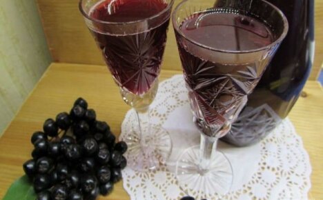 How to make chokeberry wine - step by step instructions for beginners