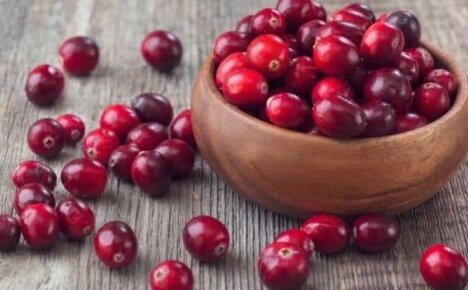 How to preserve vitamins in berries - harvested cranberries for the winter, recipes without cooking