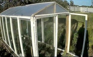Iš senų langų rėmų pastatyti šiltnamį augalams