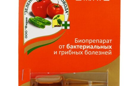 Ефективна защита на градината и зеленчуковата градина от болести с фунгицида Фитолавин