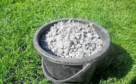 We use wood ash as fertilizer for plants