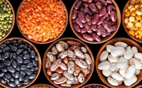 How are legumes useful for the body and recipes for popular dishes
