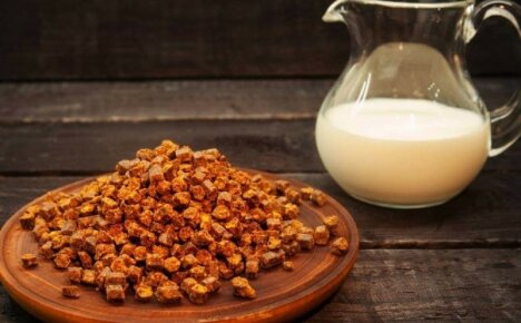 De nummer één remedie tegen verkoudheid en voor immuniteit - 's nachts melk met propolis