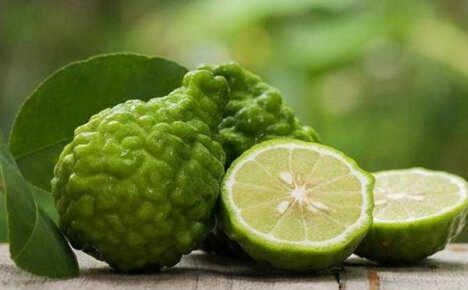 Useful properties of bergamot and how to use it