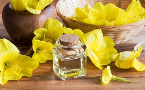 The benefits and harms of evening primrose oil for our health