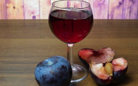 Vin de prune acasă - cum să faci o băutură aromată pentru iubitori