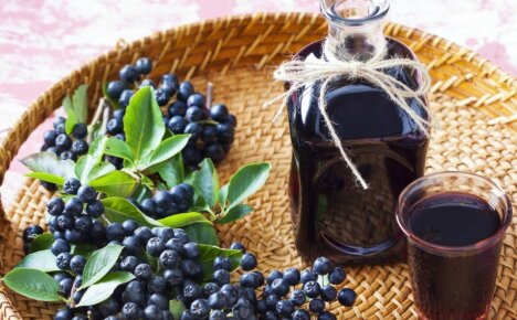 El alcohol también puede ser útil: una receta para la tintura de chokeberry con vodka