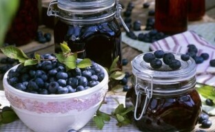 Harvesting blueberries for the winter - how to make stocks of healthy berries