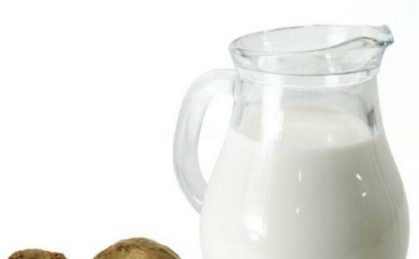 Spis Propolis med melk for å styrke immuniteten din