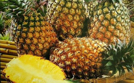 How is pineapple grown on the plantations of Costa Rica?