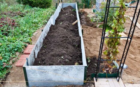 Creștem randamentul culturilor de legume cu paturi calde