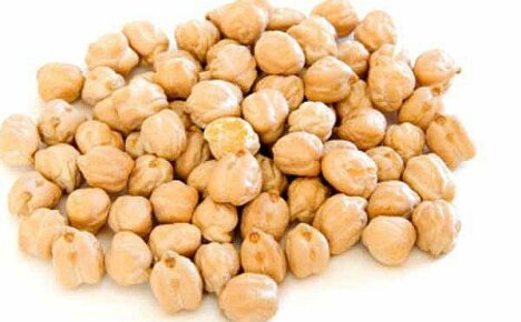 Growing chickpeas and other legumes