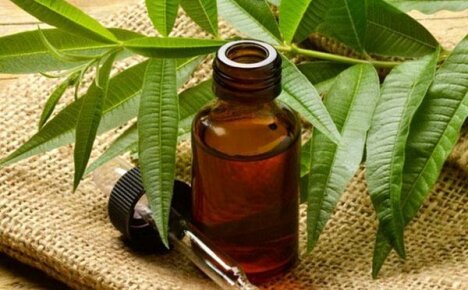 Естествен антисептик - масло от чаено дърво