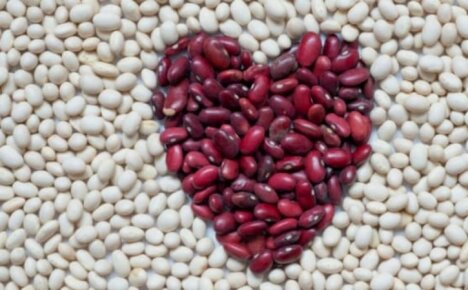 Mengetahui butiran - kacang mana yang lebih sihat, putih atau merah