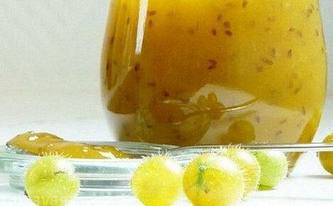 Μυστικά της παραγωγής νόστιμου ζελέ φραγκοστάφυλου με πορτοκάλια