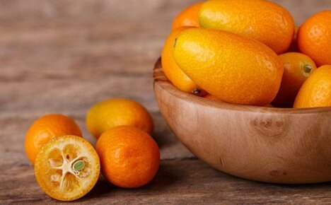 Što je voće kumquat i kakva je njegova korist za tijelo