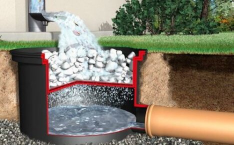 How to make drainage on a site - three models of a water drainage system