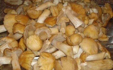 Izvorno predjelo za praznik i ne samo - recept za ukiseljene pileće gljive