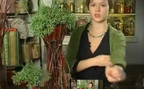 Originálne kvetináče z konárov - kutilský vysoký stojan z prírodných materiálov