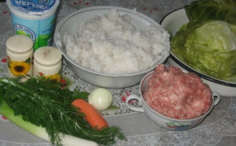 What rice is needed for cabbage rolls - small secrets of a delicious dish