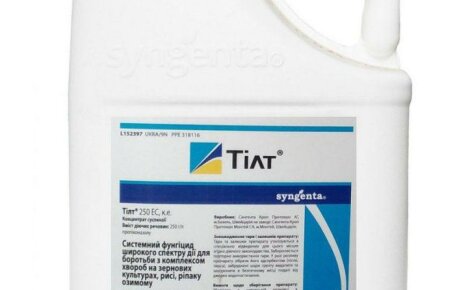 Фунгицидно лекарство Tilt срещу опасни вирусни инфекции във вашата градина