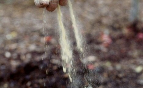 A talaj savtalanítása ősszel - megfizethető és hatékony módszerek