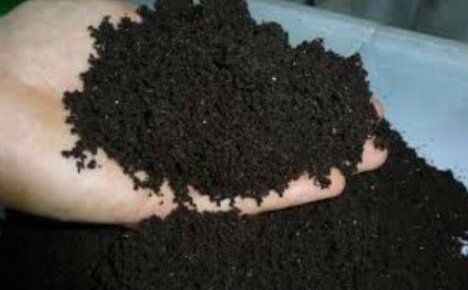 Making vermicompost from peat