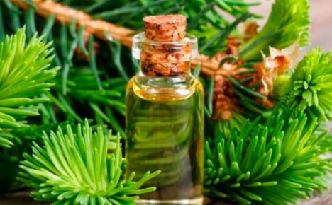 What makes pine oil unique - properties and use of a natural antiseptic