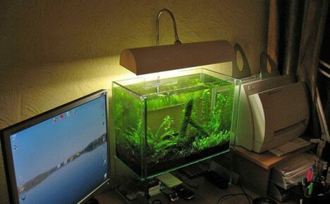 Зашто вам треба осветљење акваријума и како га правилно одабрати