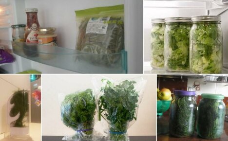 Hogyan lehet a zöldeket hosszú ideig hűtőszekrényben tárolni - bevált módszerek