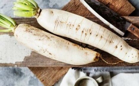 How to cook daikon - recipes for simple but delicious dishes