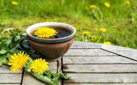 Aké sú výhody pitia púpavového čaju?