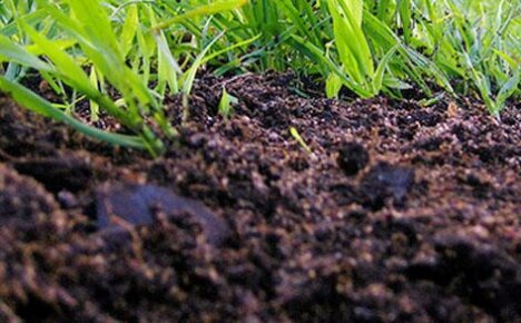 Vedúcim činiteľom pri úrodnosti rôznych typov pôd je humus