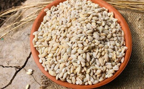 Delicious, hearty and healthy barley - what kind of cereal is it