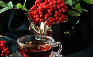 Useful properties of mountain ash - one of the most healing berries