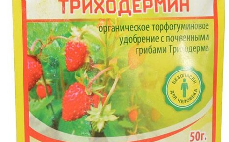Биолошки производ Трицходермин против биљних болести