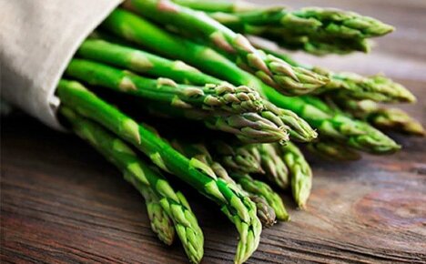 Hvad er asparges, hvordan den vokser, og hvad er dens anvendelse