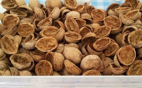 Walnut shells: use in traditional medicine, in the garden and on the farm