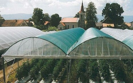 What is the best shading mesh for greenhouses and how to choose
