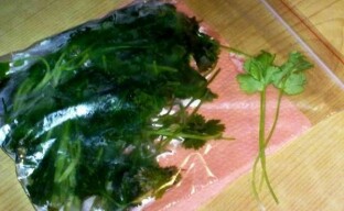 How to freeze cilantro for the winter so that it retains all the vitamins?