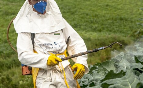 Pavojingas pesticidų poveikis žmogaus organizmui ir problemos sprendimo būdai
