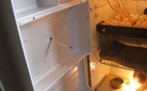 DIY inkubator fra kjøleskapet: to enkle modeller pluss en bonus - video om en automatisert inkubator