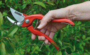 Údržba a správne používanie záhradníckych nožníc