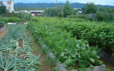 Подреждане на градински парцел според Курдюмов