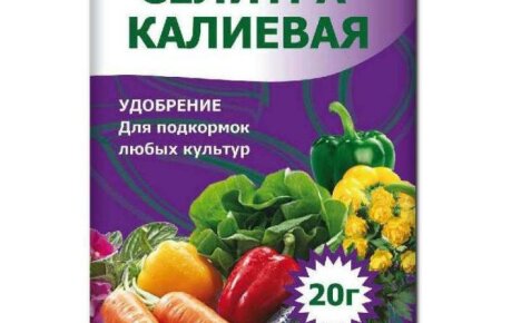 The use of potassium nitrate in the garden and in the garden