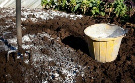 A talaj meszezése ősszel - kijuttatási mennyiség a felhasznált anyagtól függően