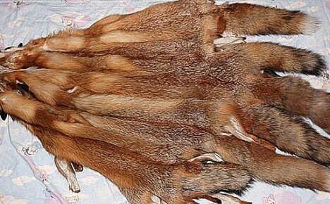 Teknologi og regler for bearbeiding av skinn og pels - dressing av skinn