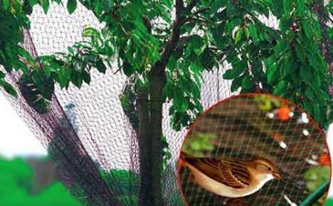 Rede para pássaros e insetos fabricada na China